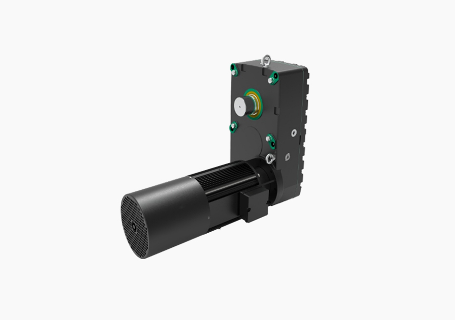 Crane Gear-motor